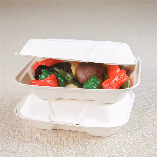 Personnalisé respectueux de l'environnement biodégradable canne à sucre bagasse micro-ondes papier bento à emporter emporter compostable jetable emballage alimentaire contenant boîte à lunch