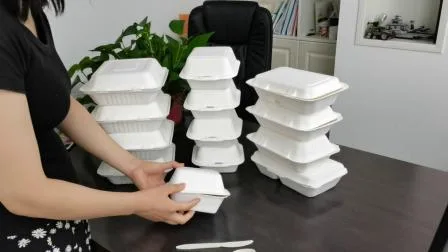 Boîte de récipient d'emballage alimentaire de papier de pulpe de bagasse de canne à sucre biodégradable jetable